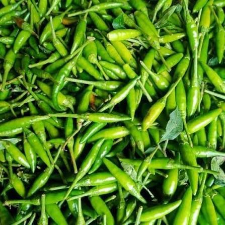 Cabe Rawit 100 Gram